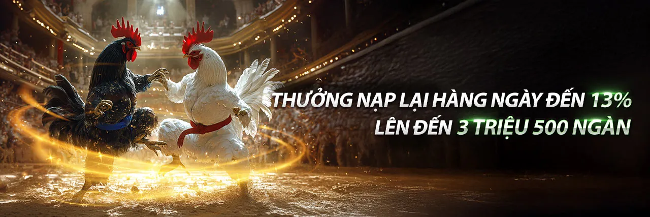 Hình ảnh trận đá gà trực tiếp tại VF88