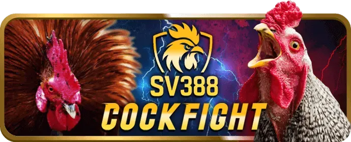 Chiến thuật quản lý vốn khi chơi tài xỉu tại vf88